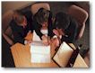 Sales & Purchasing Consultancy Image